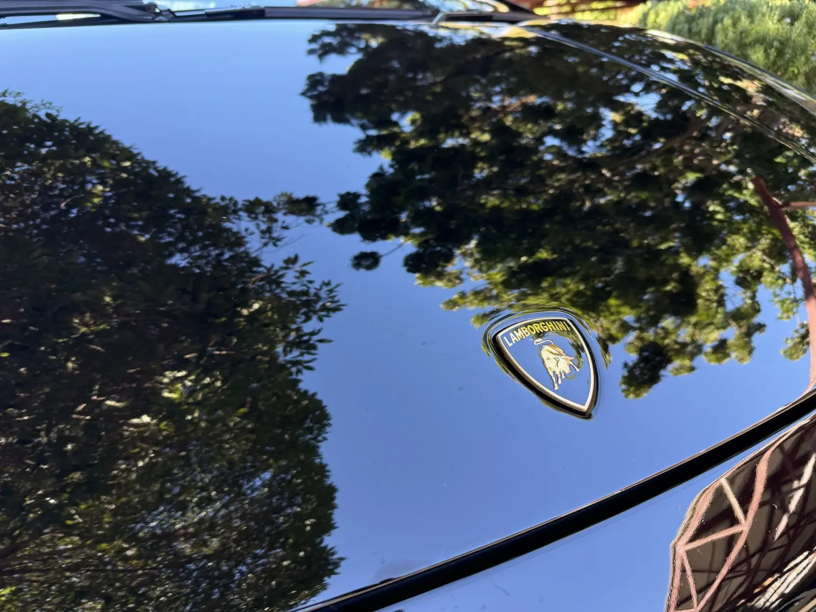 Paint after Aurex treatment — tight water beading and deep gloss