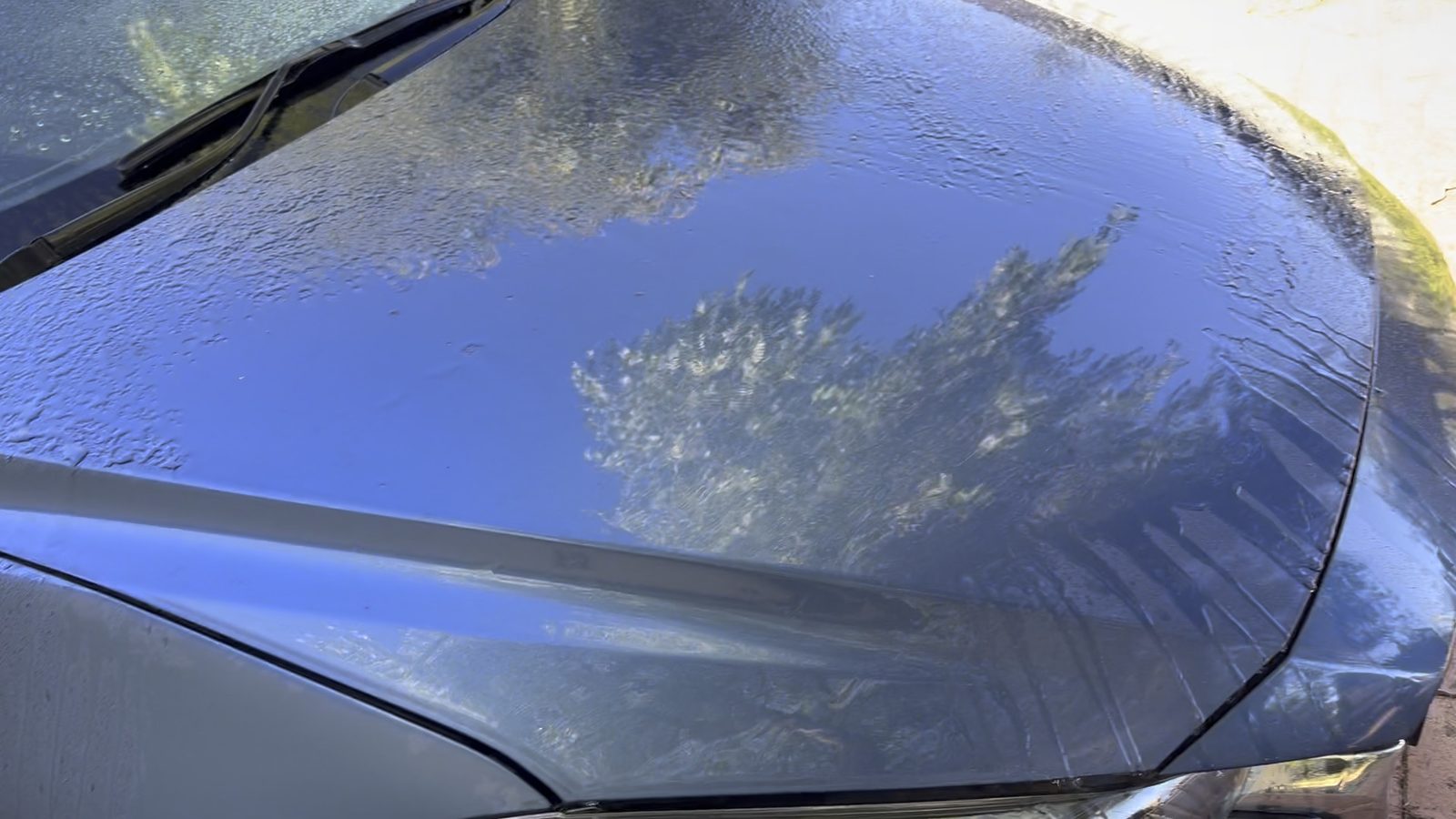 Paint before treatment — flat finish, water not beading