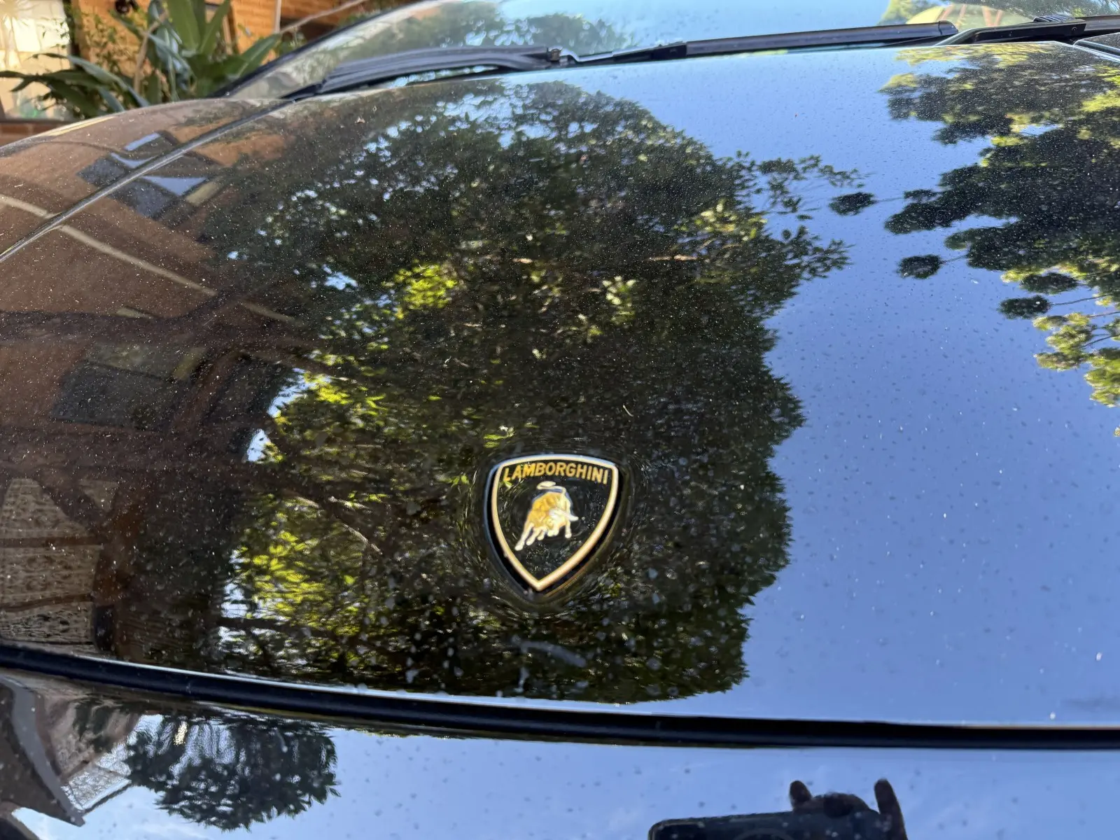 Paint before treatment — flat finish, water not beading