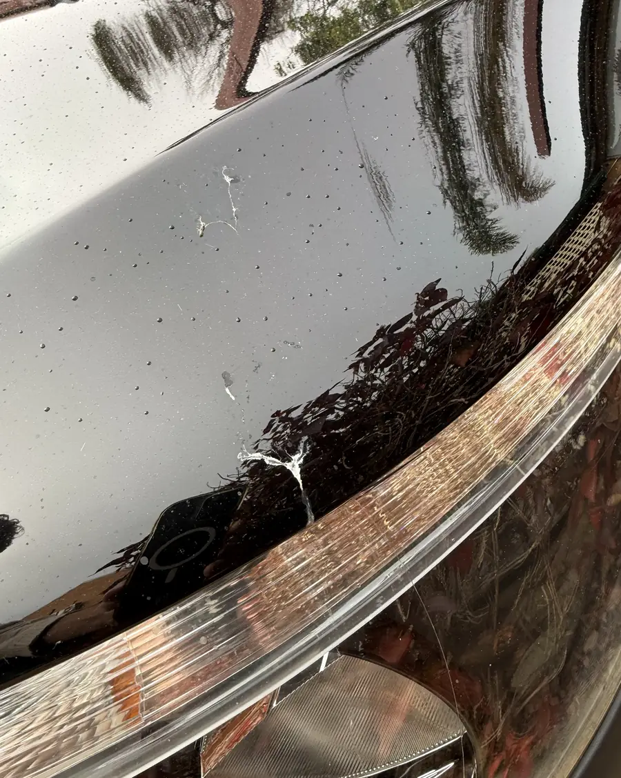 A bird dropping sliding down the ceramic coated paint of the Aurex van without being washed